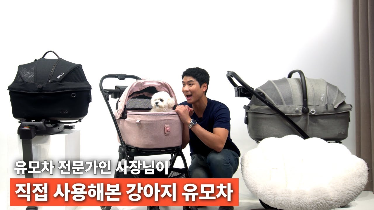 우리 강아지 '첫 퍼스트클래스' 태웠습니다. 유모차 전문가가 직접 써보고 내린 결론, 초초초럭셔리 강아지 유모차 타보펫츠 리뷰 [TAVO PETS]
