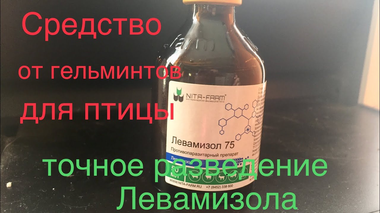 Как применять Левамизол на птицу/ Препарат от глистов Гусям