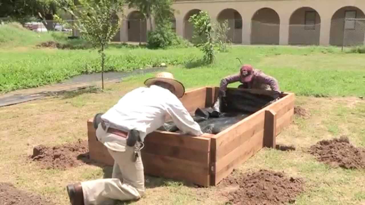 How to Build a Raised Garden Bed