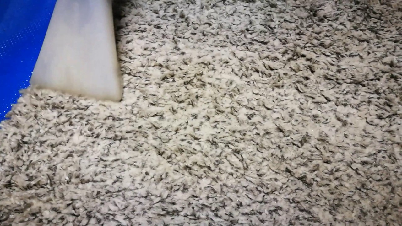 Clean Vapor pulizia e sanificazione tappeto