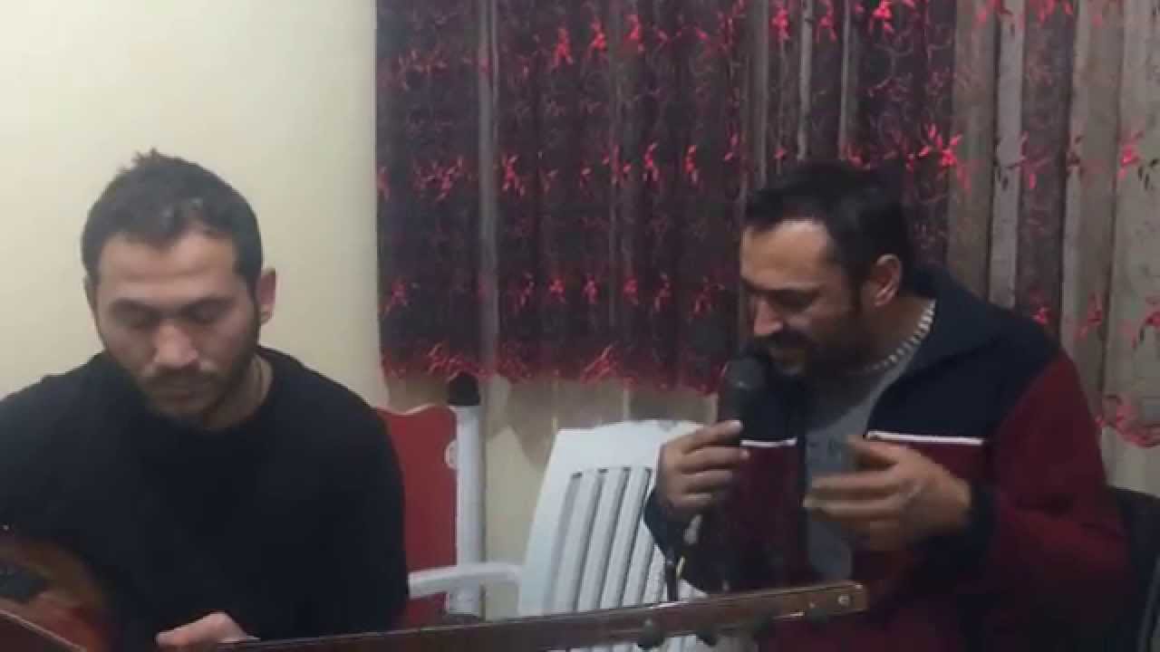Mustafa BALCI  Tatlı Çingenem
