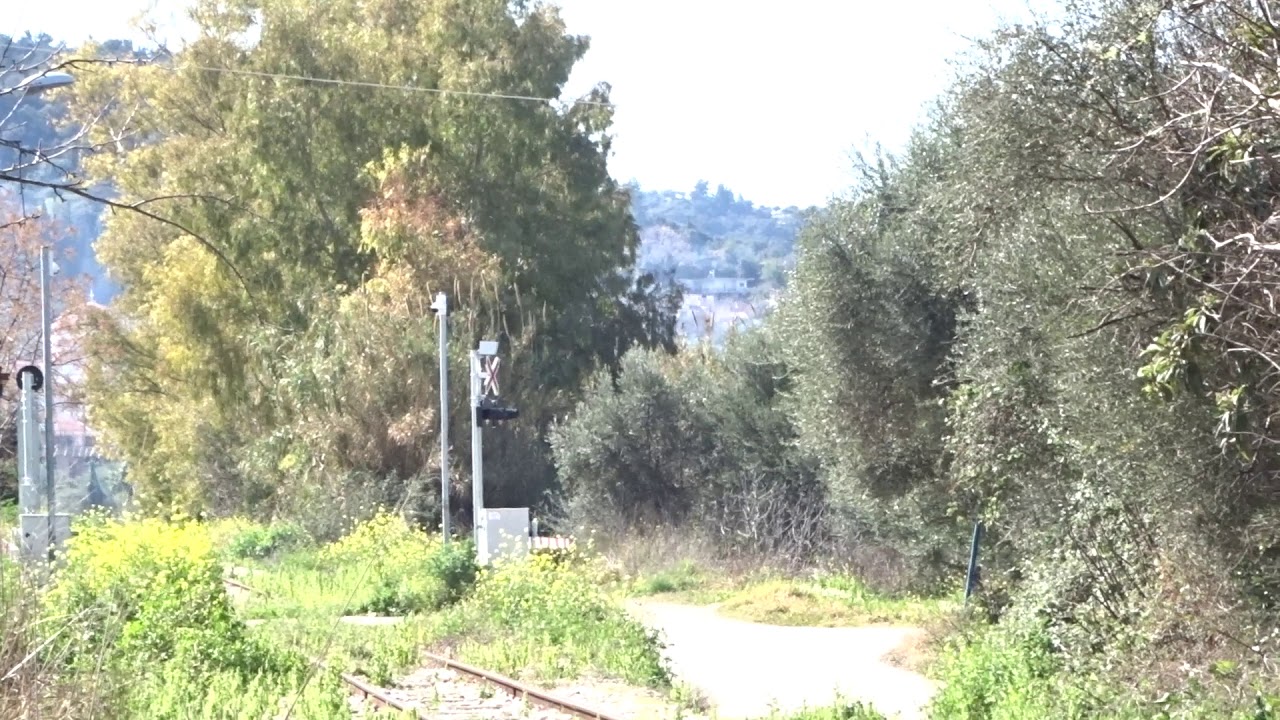 Train passing Monodendri Village