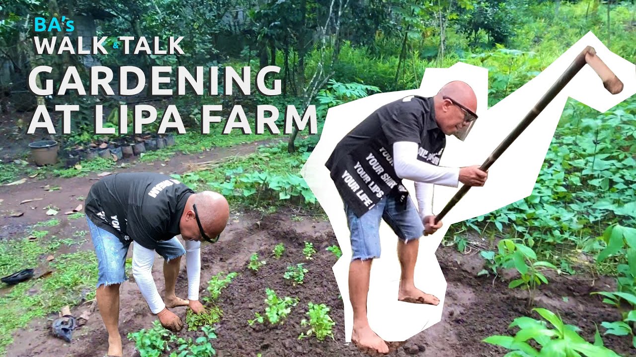 BA's Walk & Talk: Gardening At Lipa Farm