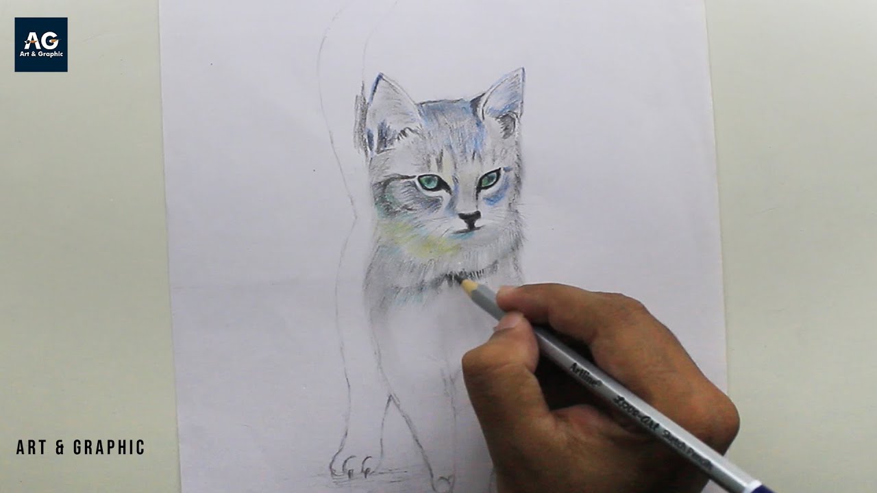 How to Draw a Realistic cat / kitten | Easy pencil Drawing