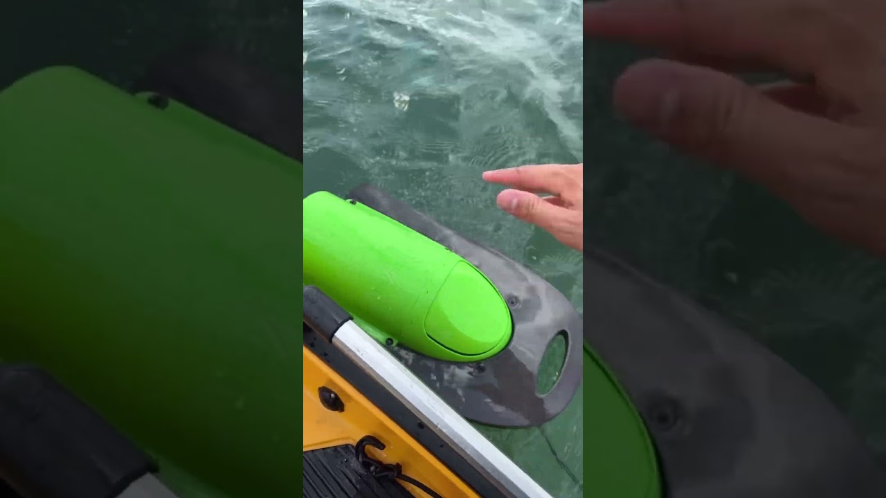 New fishing bait bucket! ​⁠➡️ 