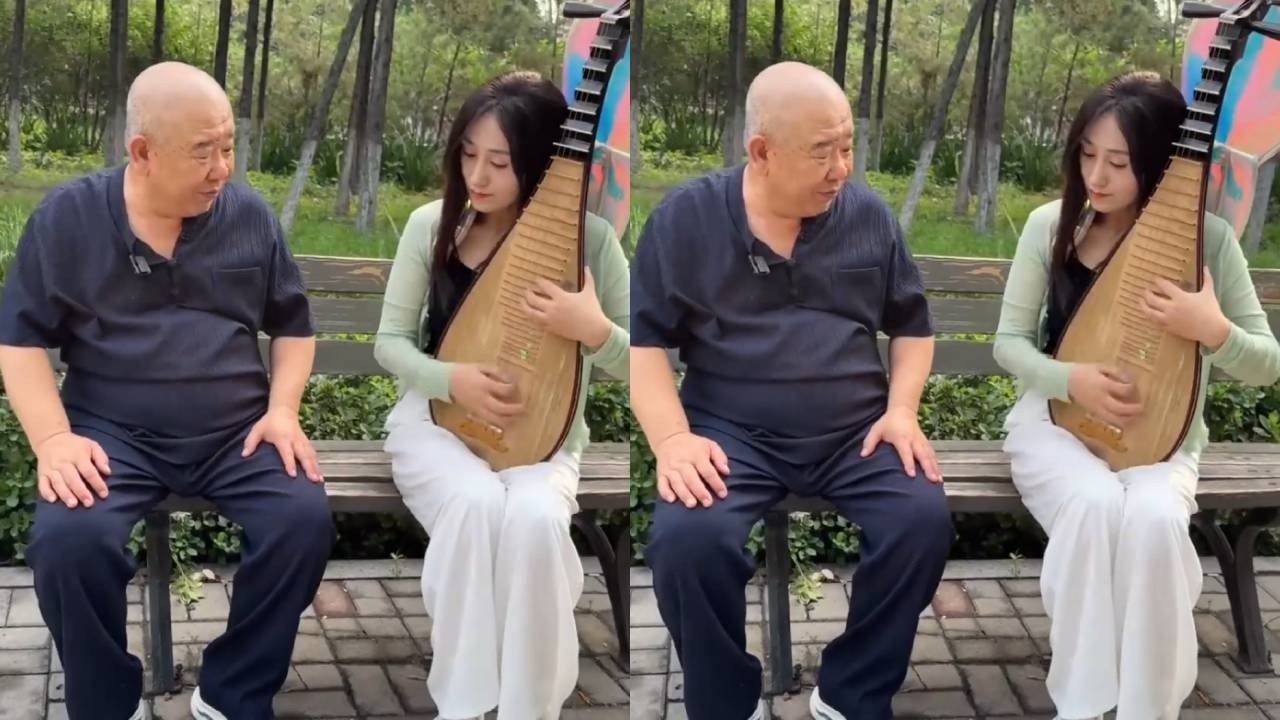 当琵琶遇上公园大爷 #琵琶 #民乐