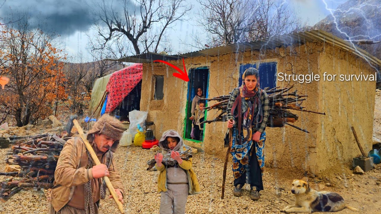 🌧 Nomadic Life in a Rainy Winter | Collecting Firewood in the Rain, Farming, and Survival🏔