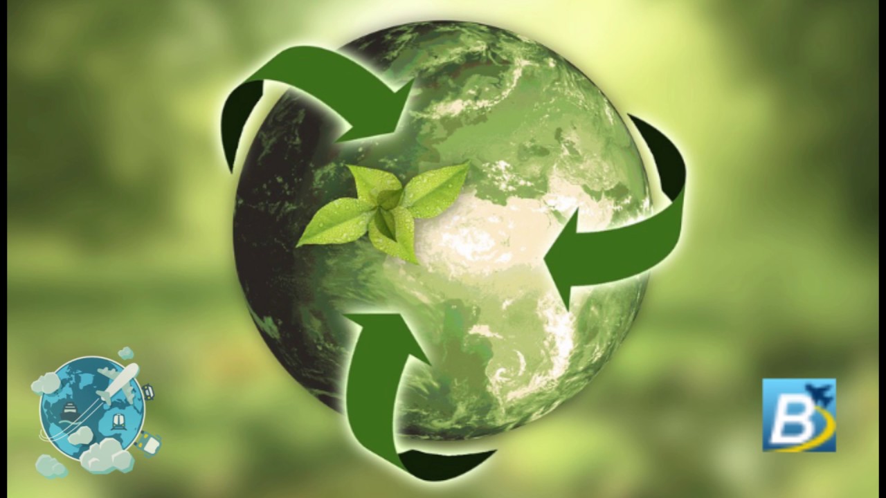 Creating an Environmentally Sustainable Pallet | Logical Logistics with Green Ox Pallets
