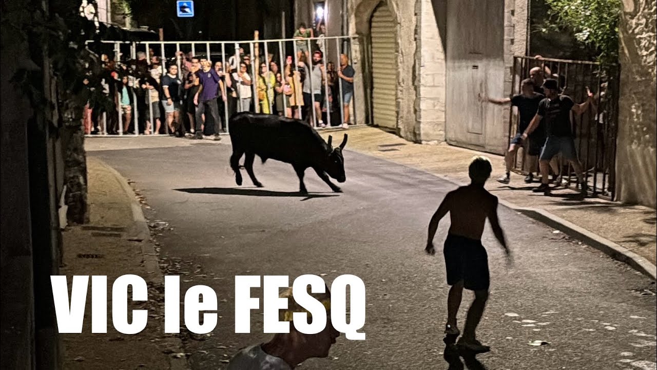 Encierro ➡️ Vic le Fesq 🇫🇷 03/08/24 Manade De la LAUZE #aficionados #tradition #bousalcarrer