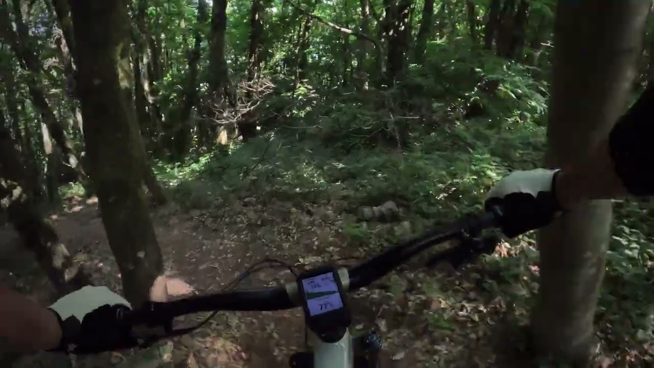 MTB MONTE SERRA TRAIL AREA - Zampirone Trail with Gost Line