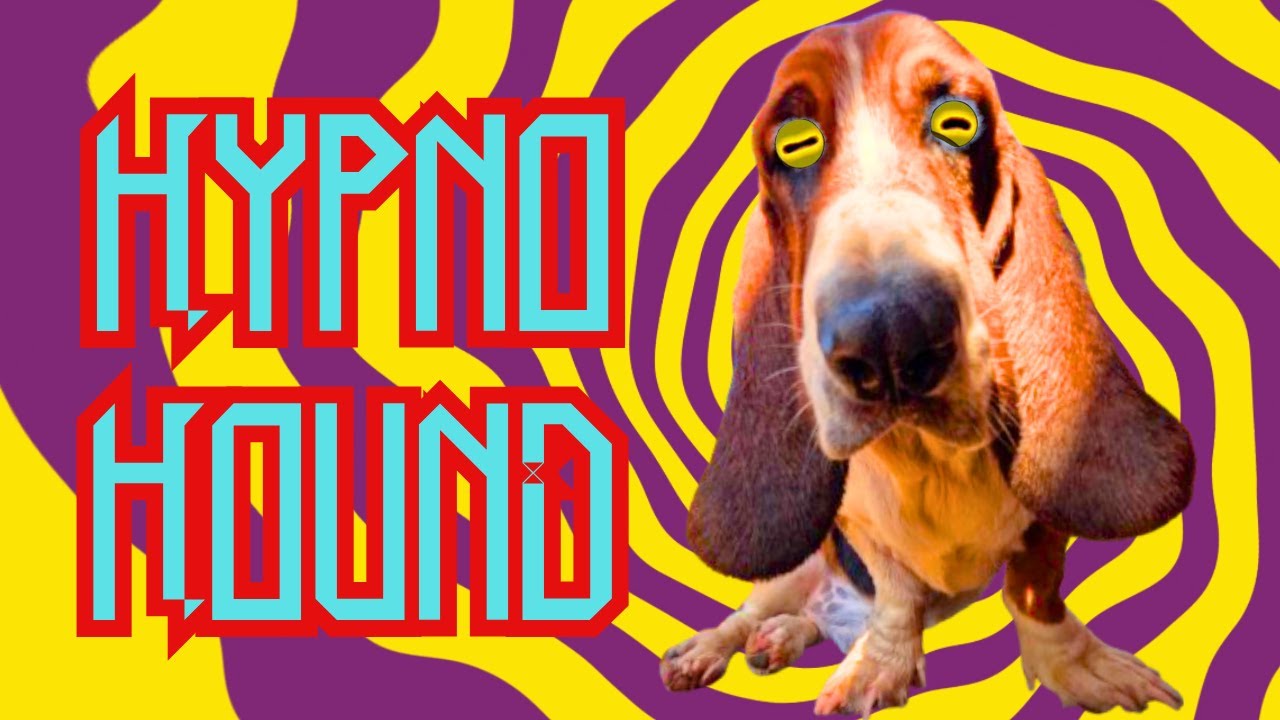 7 Sneaky Ways Basset Hounds Mind Control Us 🔎 🐾