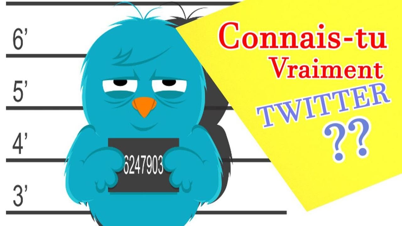 Twitter, connais tu vraiment le r&eacute;seau social ? Arnaque, vente compte twitter etc .. - Click'n'troll