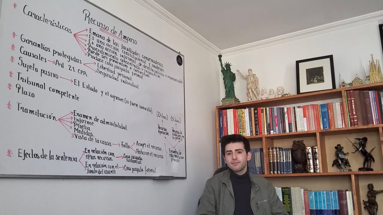 Recurso de amparo o acción de habeas corpus