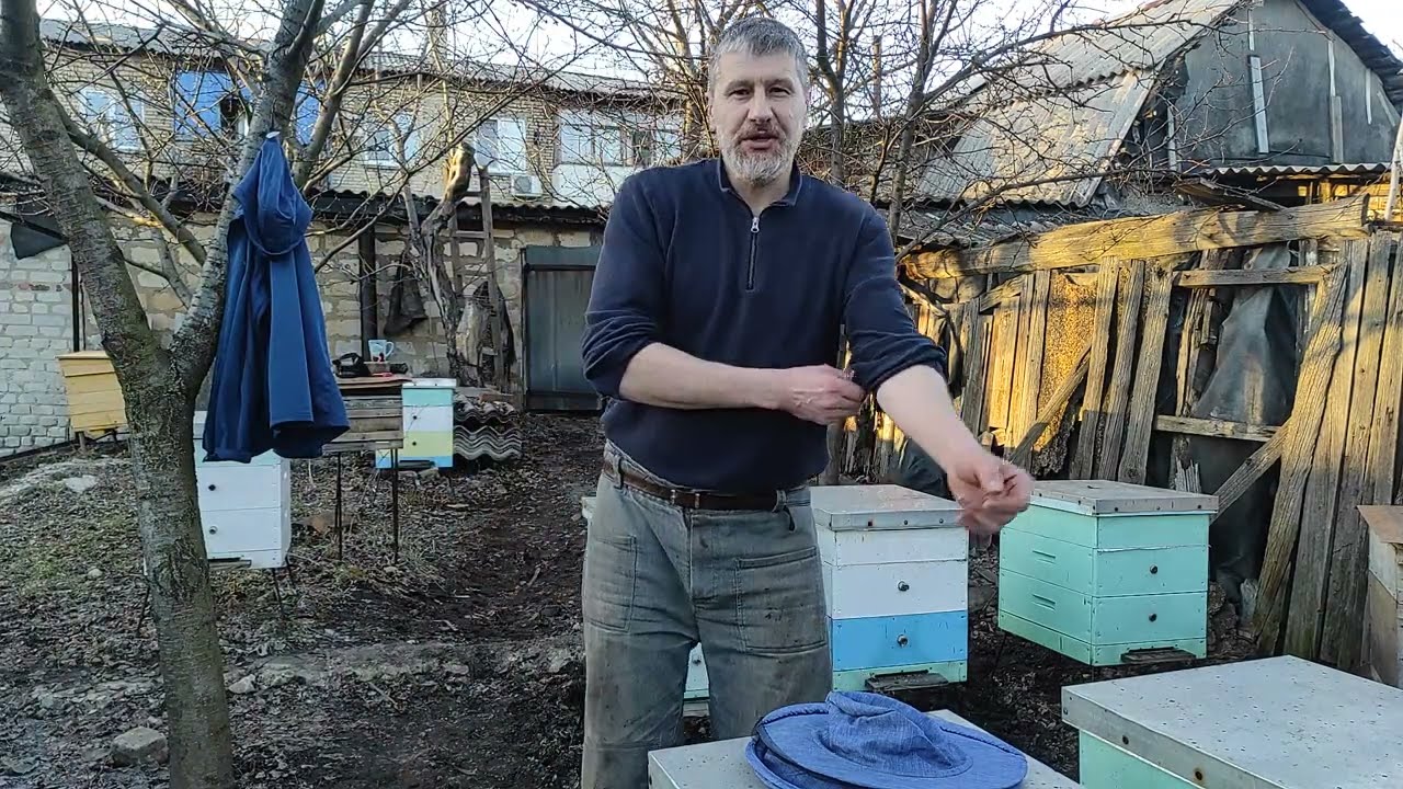 Пчел считают по весне. 11.03.26
