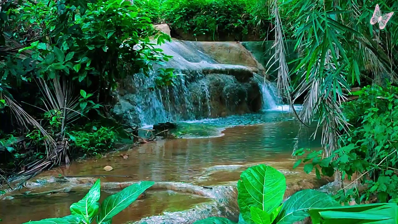 Relaxing Music For Stress Relief, Anxiety and Depressive States🌲 Heal Mind, Body and Soul Calm 81