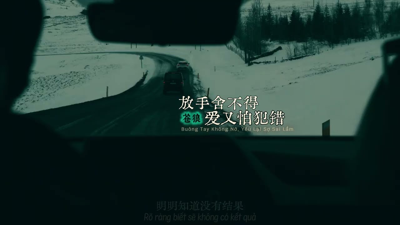 [Vietsub] Buông Tay Không Nỡ, Yêu Lại Sợ Sai Lầm - Thương Lang 放手舍不得爱又怕犯错 · 苍狼