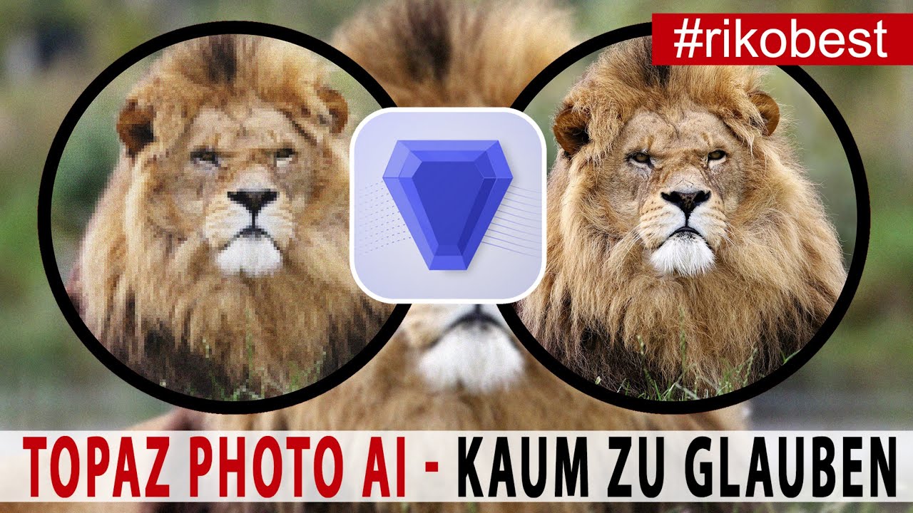 Fotos einfach entrauschen, schärfen und vergrößern mit nur einem Klick? - Topaz Photo AI im Test