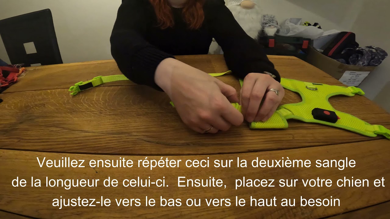 Ultra V2.0 LED Harnais pour Chien Comment Dimensionner et Utiliser Votre Nouveau Harnais Chien LED