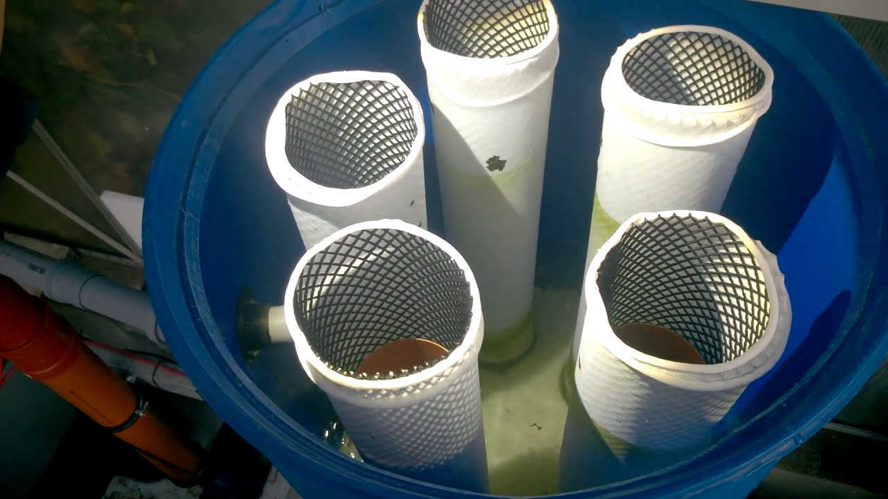 Brilliant DIY Filter - Koi Pond