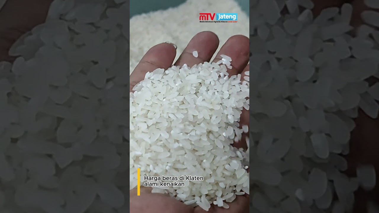 Belum Masuk Masa Panen, Harga Beras di Klaten Terus Naik