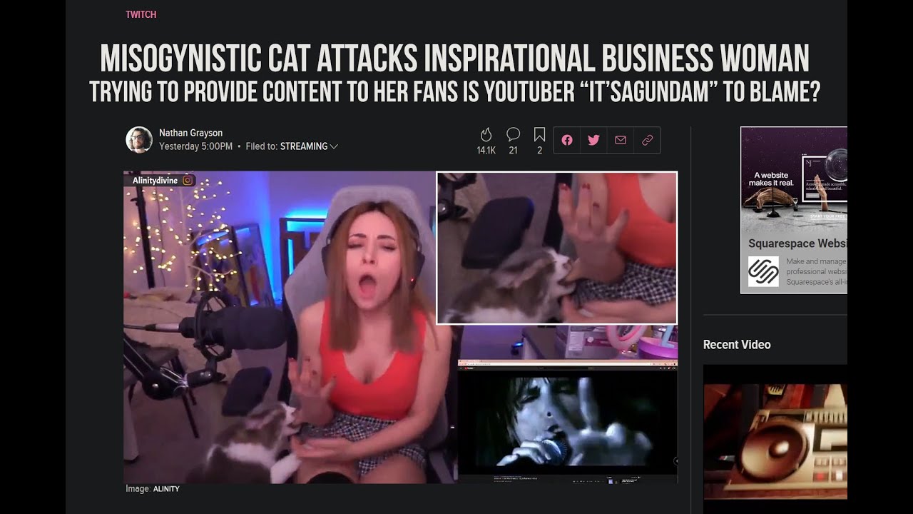 Alinity's Cat Strikes Back │ThotWatch