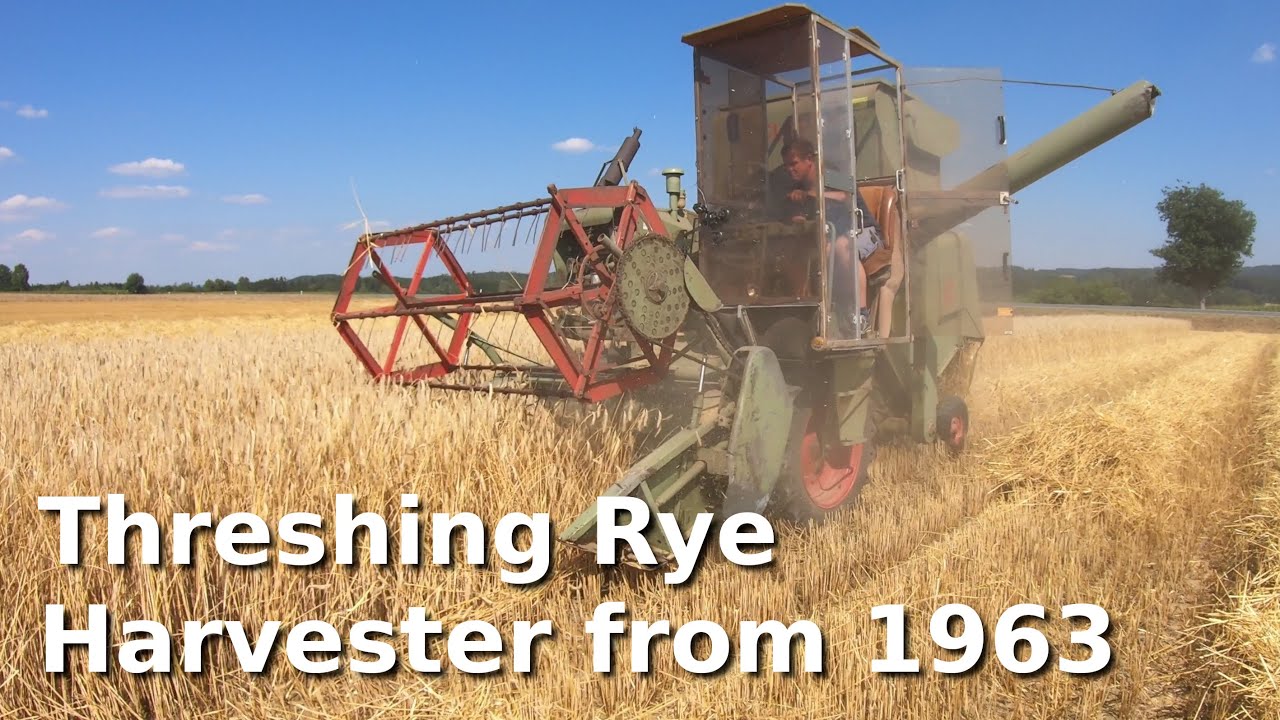 Claas Europa Mähdrescher (1963)  |  Roggen dreschen