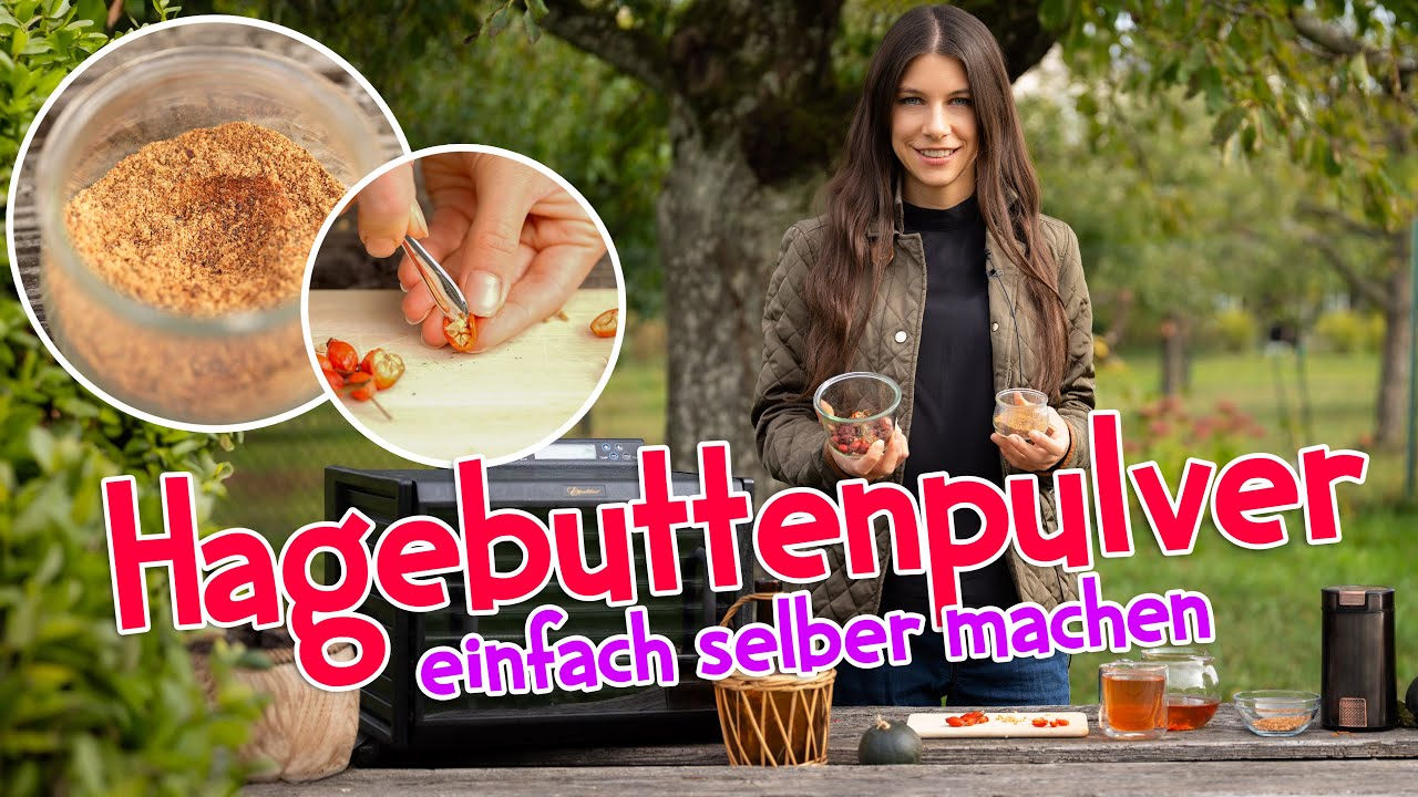 Hagebuttenpulver selber machen 🌹 Vitamin C für den Winter ❄️ #wildkräuter #hagebutte #garten
