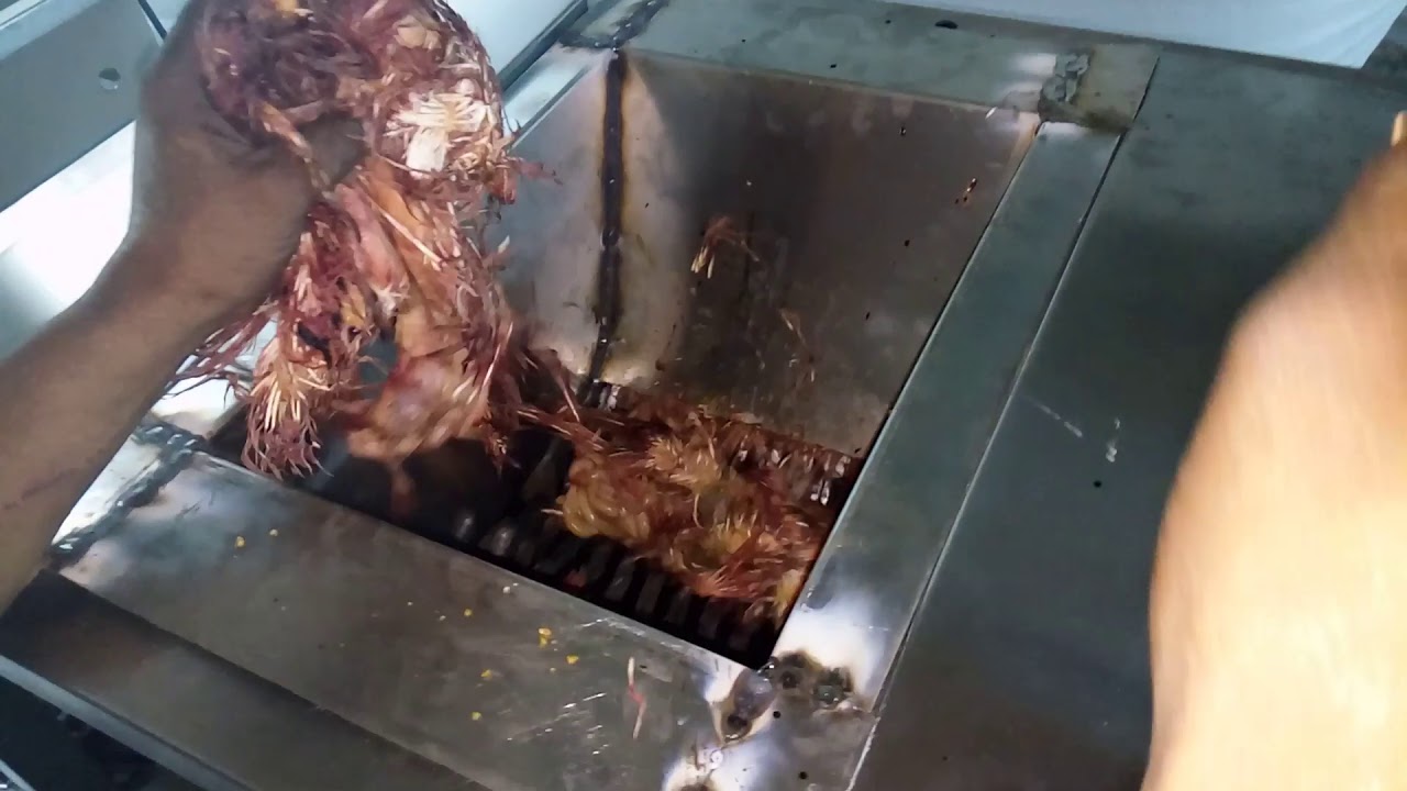 Meat Shredder - Chicken Waste Shredder