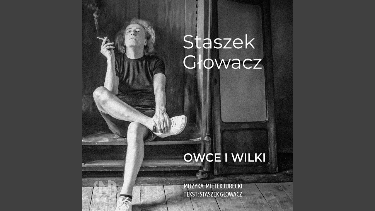 Owce i Wilki