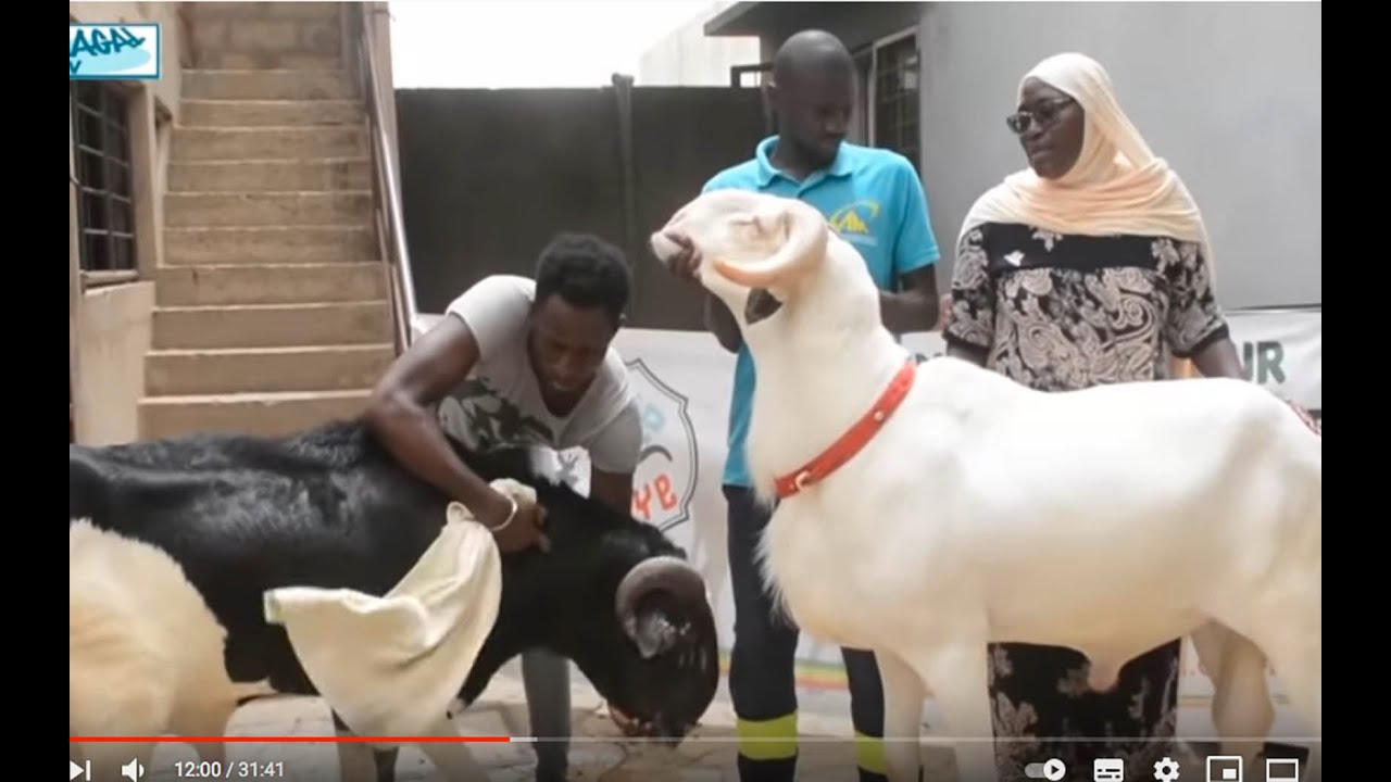 WAX TANN AK BERGERIE YAYE FATOU THIAM