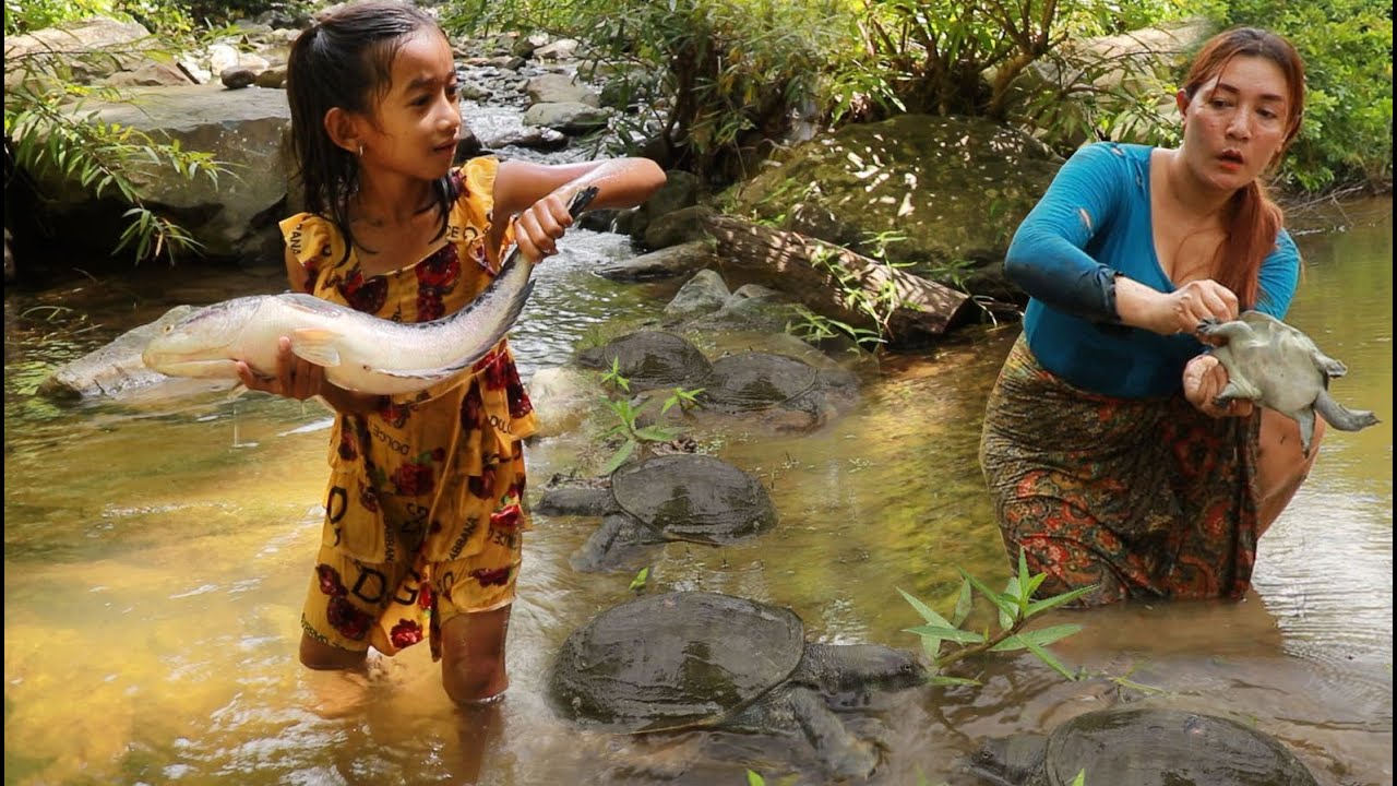 Catch fish and turtle/ Roasted turtle with spice & grill fish tasty delicious in forest