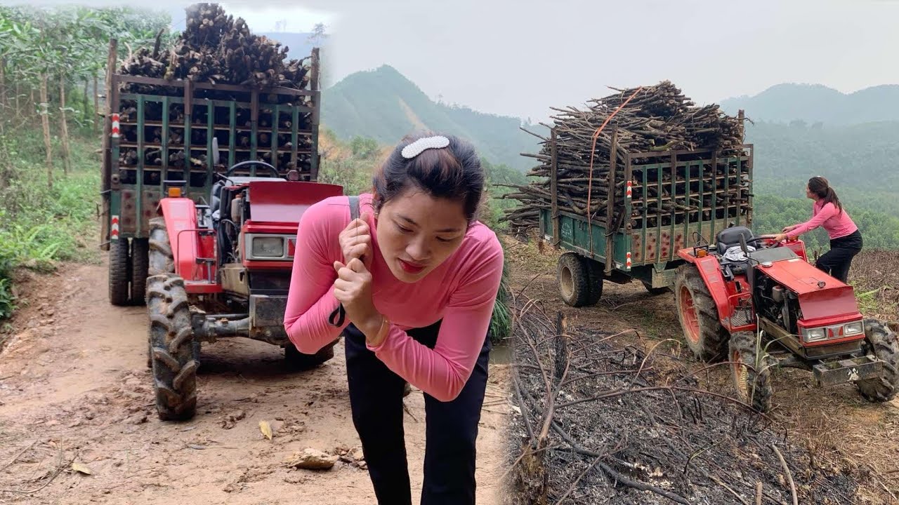 The skill of driving a tractor to transport firewood downhill makes many people confused.