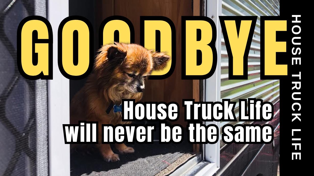 A sad day and a final goodbye to our House Truck Life Dog | Life on the road New Zealand
