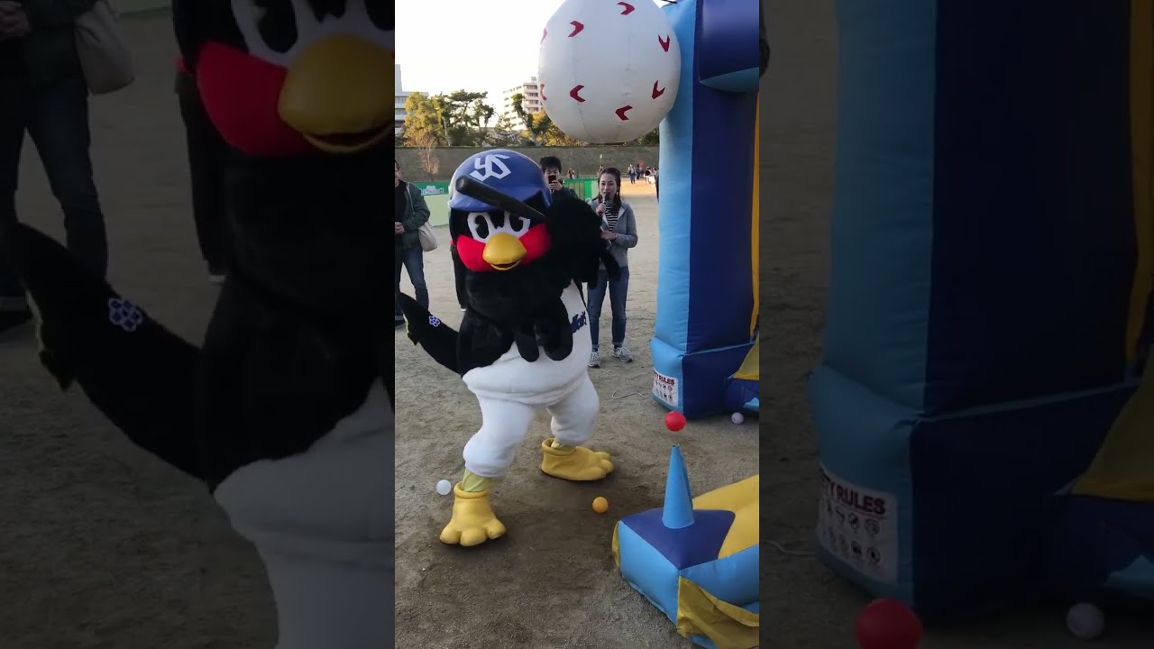 2018 11 24  初公開 つば九郎