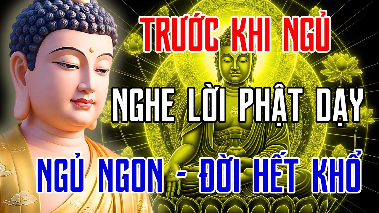 Nghe Pháp Trước Khi Ngủ 🌙 Buông Bỏ Phiền Não, Tâm An Lạc Dễ Ngủ Sâu | Phật Pháp