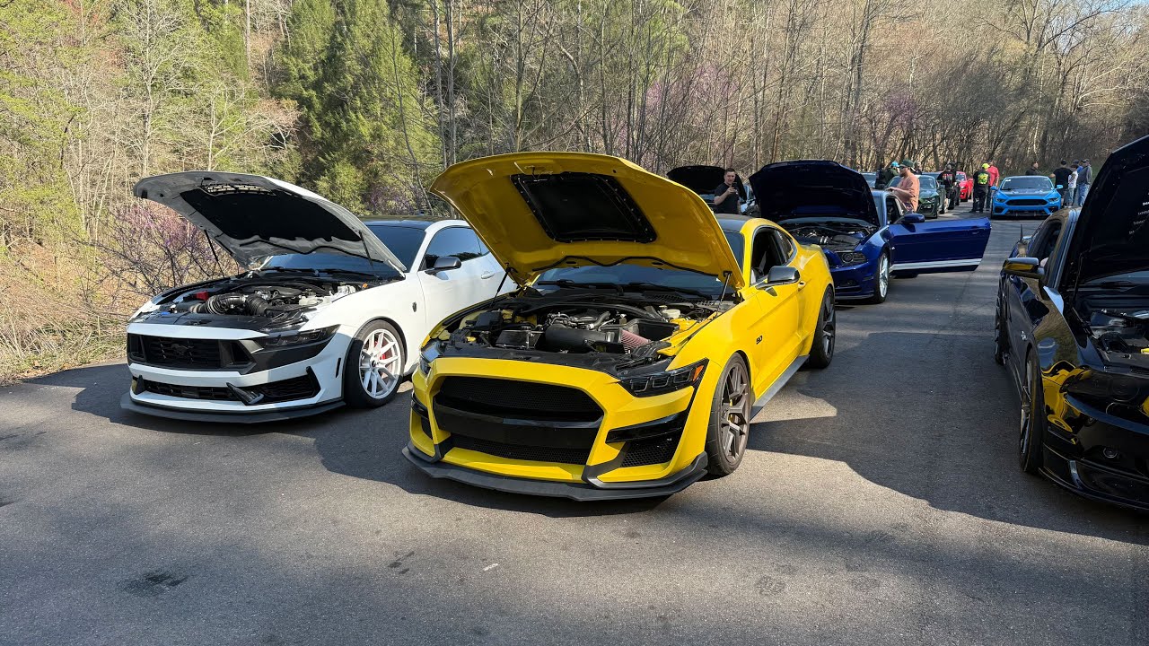 Shredding My S550 Mustang GT Down Tail Of The Dragon!