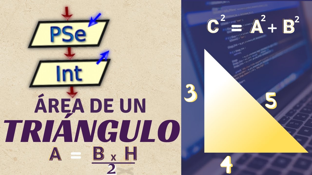 Pseint desde cero 2026 | Ejercicios | Área del triángulo rectangulo conociendo los tres lados