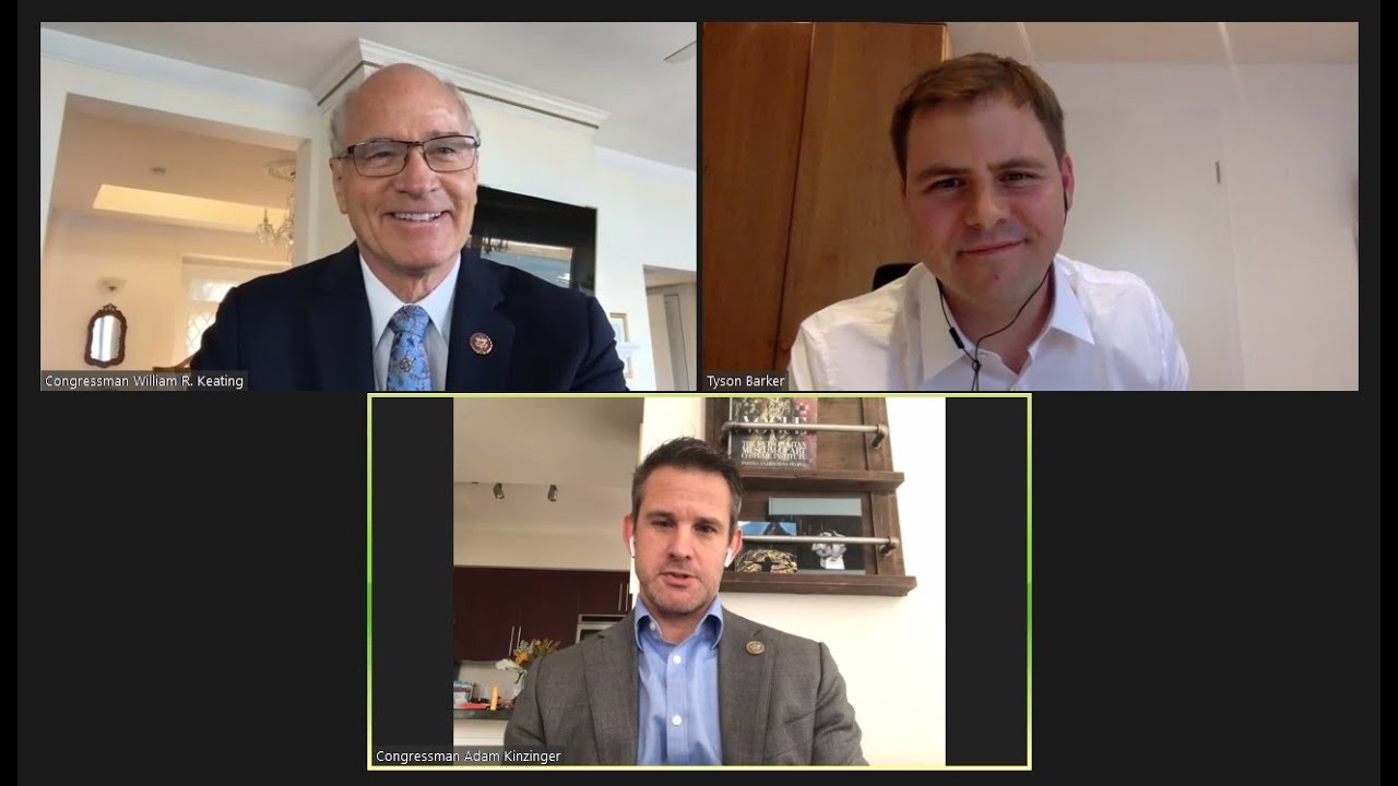 Transatlantic Solidarity in Times of COVID 19 &ndash; A Bipartisan Congressional Perspective