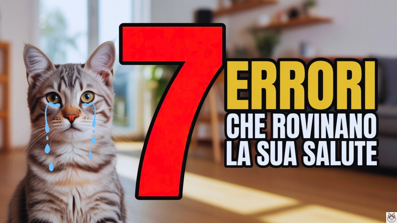 7 Errori che Stanno Rovinando la Salute del Tuo Gatto