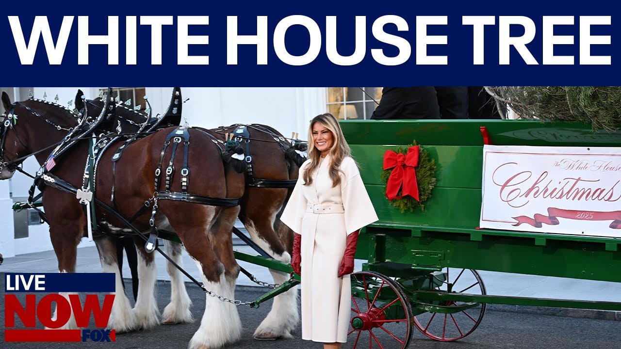 First Lady Melania Trump welcomes Christmas tree
