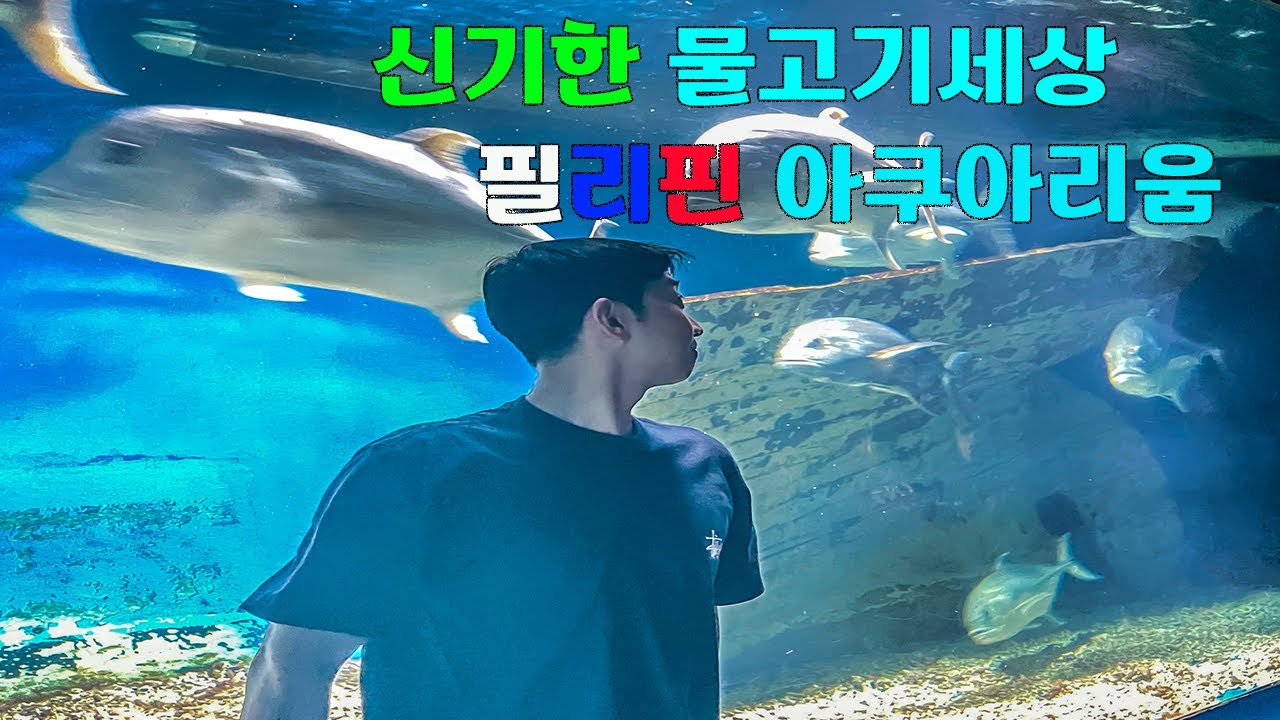 필리핀 최대의 아쿠아리움, 마닐라 오션파크 탐방기🇵🇭마닐라여행(3)