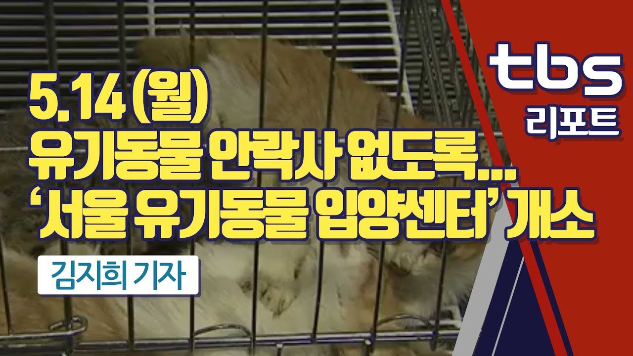 [tbs] 유기동물 안락사 없도록...‘서울 유기동물 입양센터’ 개소