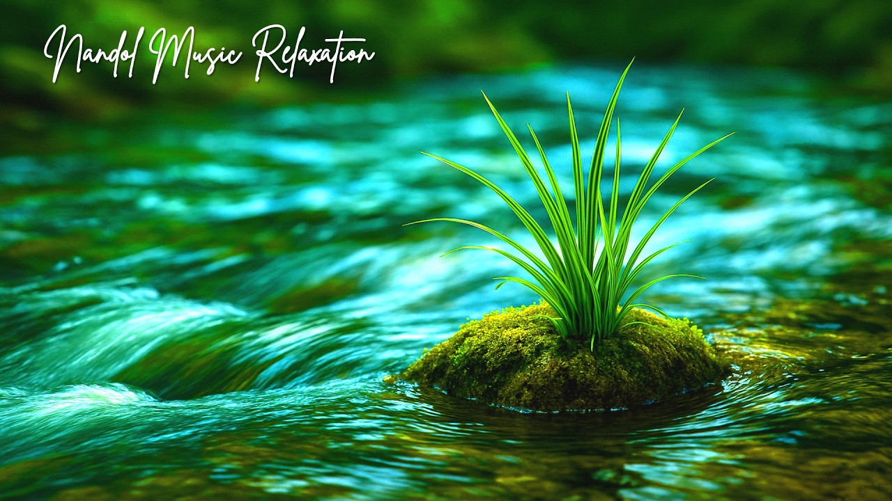 Calming Night Music for Quiet Thoughts Emotional Balance and Restful Sleep