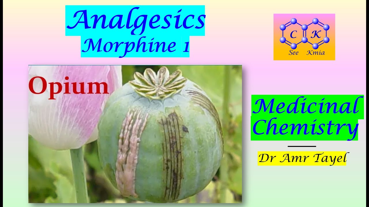 Narcotic Analgesics (part 1) Morphine - Medicinal Chemistry - E - PDF 👇