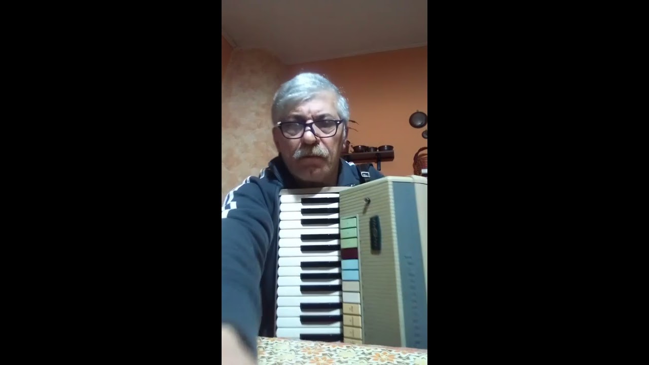 besame mucho eseguito con Fisarmonica elettronica Farfisa Transicord