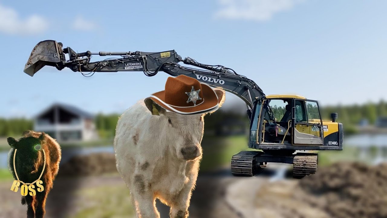 Kaksin karkuteillä 🐮