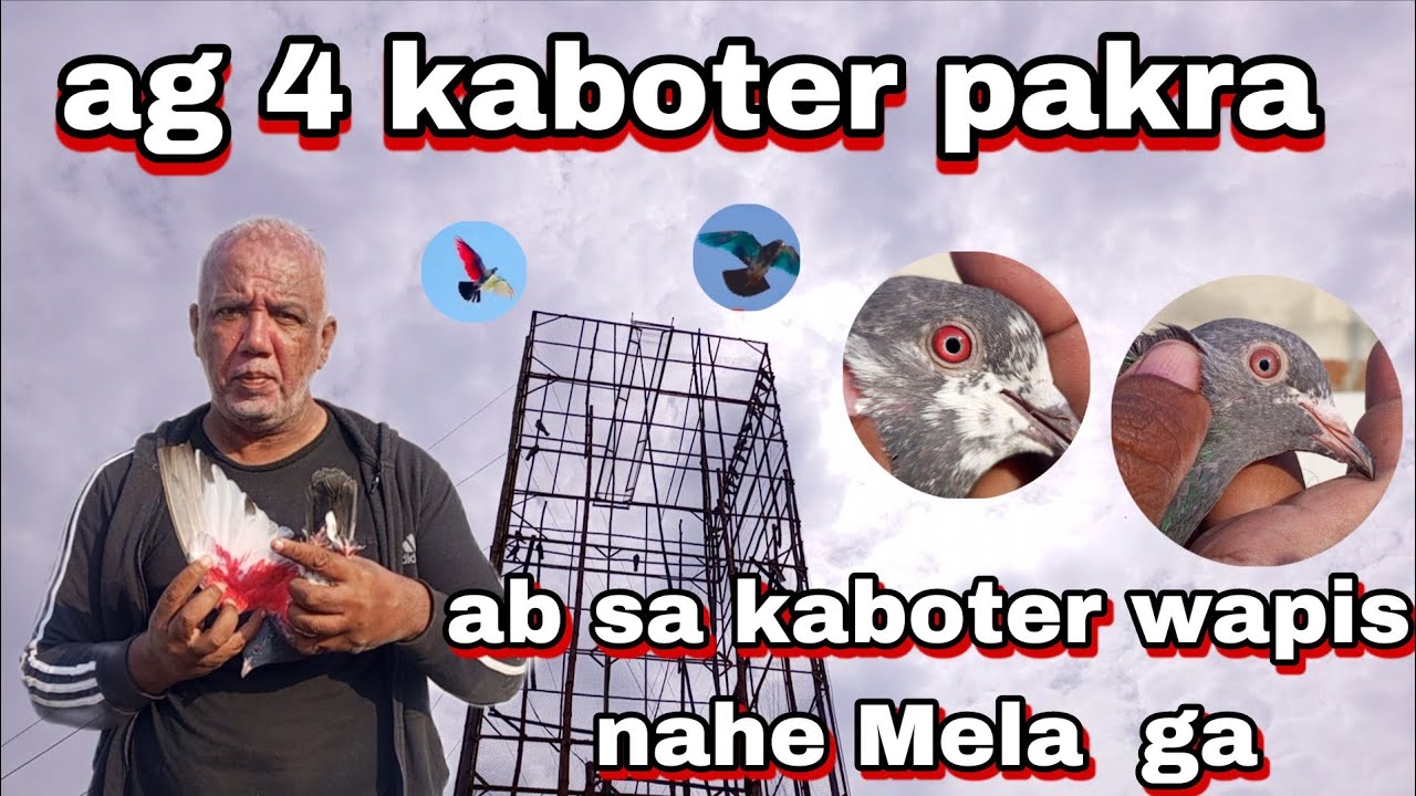 ag 4 kaboter packra ab sa kaboter wapis nahi Mela ga