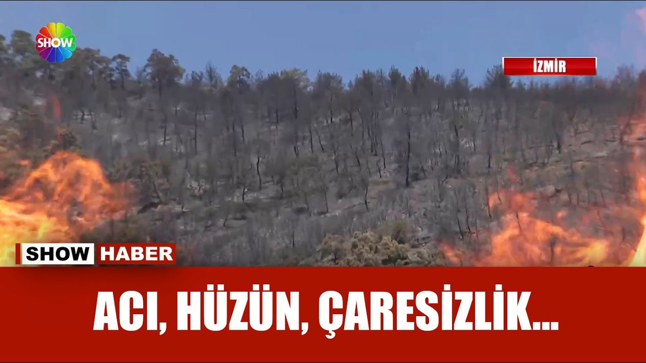 Köylüler kaçıp canlarını kurtardı!