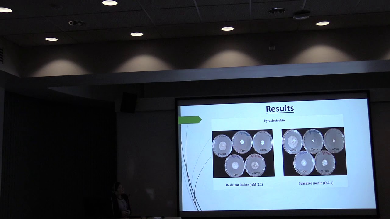 Genotypic characterization and fungicide sensitivity of P. nodorum in Virginia wheat - Navjot Kaur