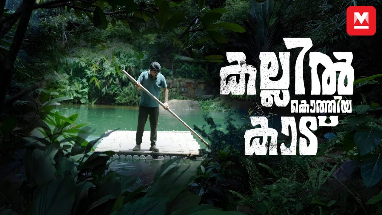 കല്ലുമടയെ കാടാക്കിയ മുസ്തഫ | Man-made forest in Malappuram | Green Ara